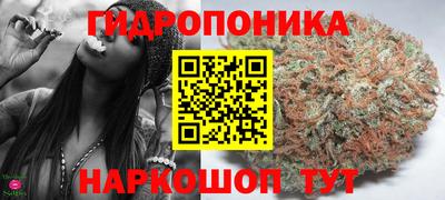 Альфа ПВП Будённовск