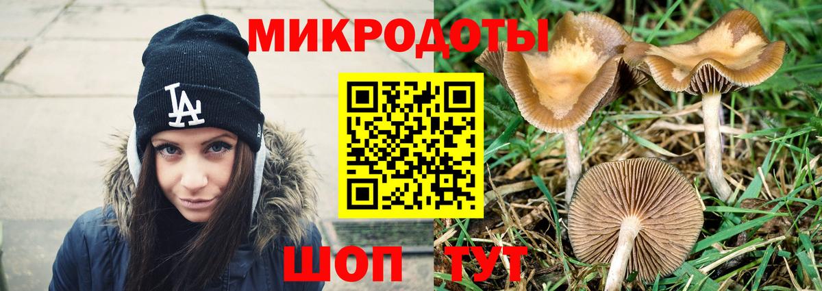 Псилоцибиновые грибы мухоморы Обь