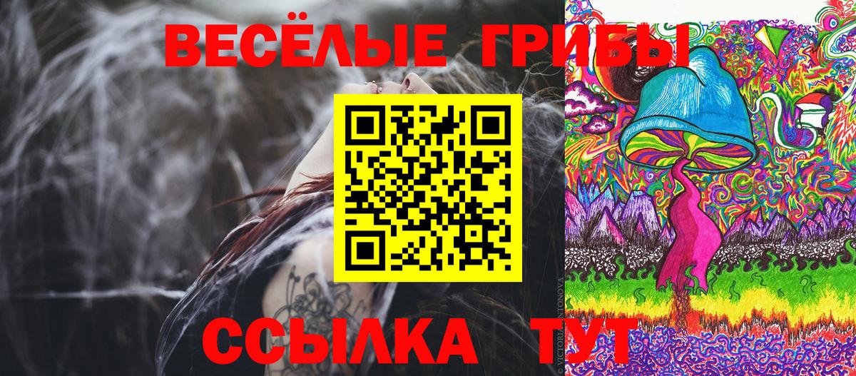 Обь  Псилоцибиновые грибы Cubensis  купить   Вход с VPN 
